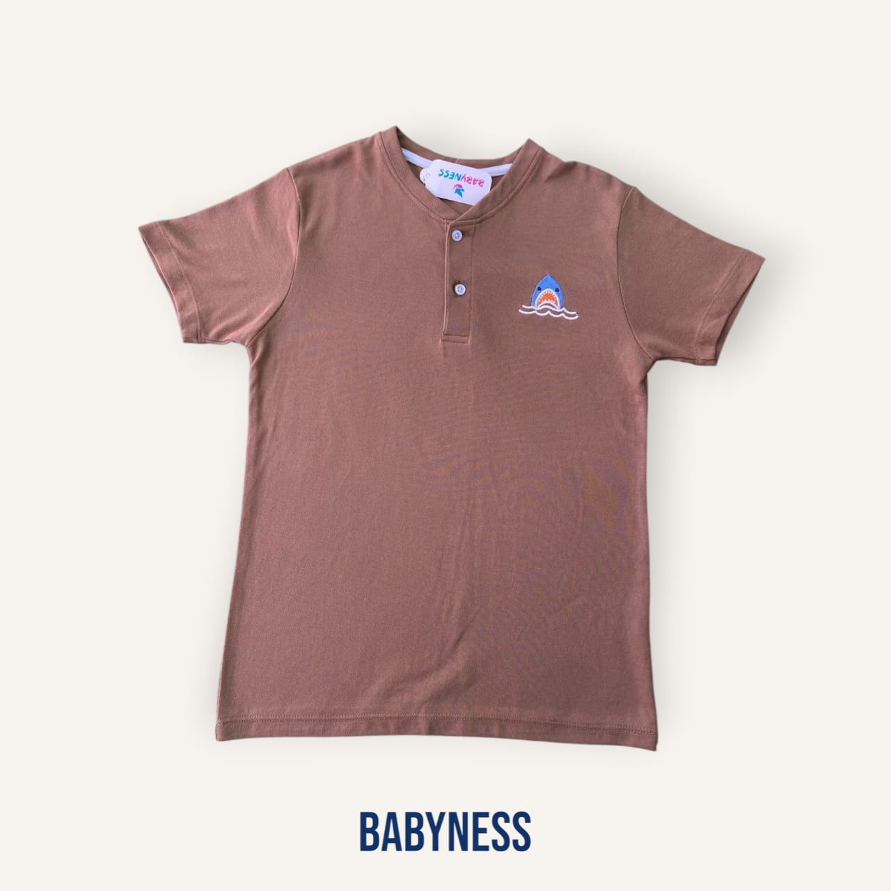 Boys T-Shirt (BN0939)